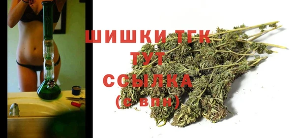 молекула духа Арсеньев