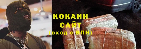 молекула духа Арсеньев