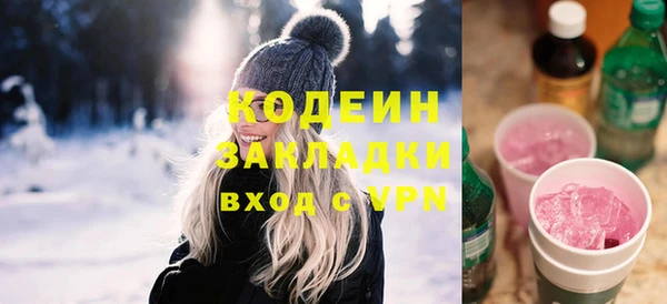 молекула духа Арсеньев