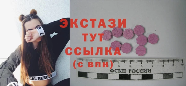 молекула духа Арсеньев