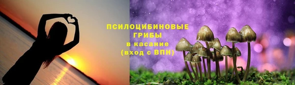 молекула духа Арсеньев