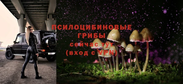 молекула духа Арсеньев