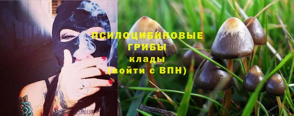 молекула духа Арсеньев